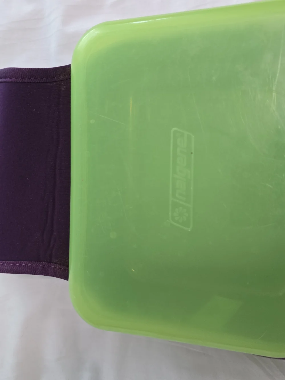 Nalgene Green & Purple Lunch Box/ Container